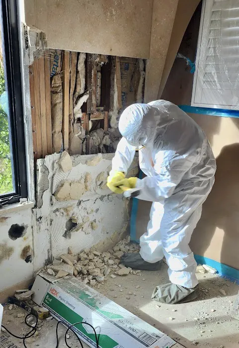 Shield Remediation Picture 4