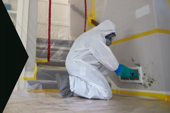 Water Damage Cleanup Picture 1