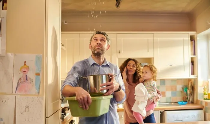 Peninsula Restoration Picture 1