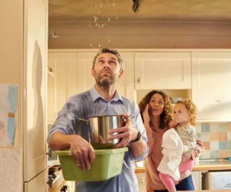 Peninsula Restoration