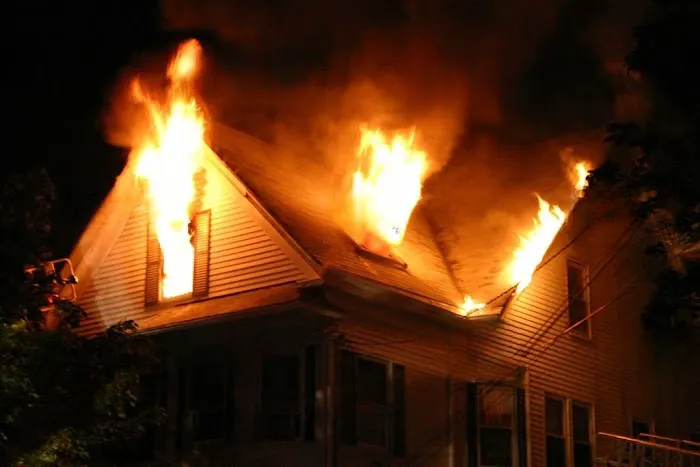 Peninsula Restoration Picture 2