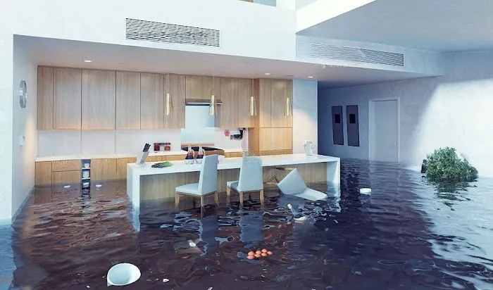 Peninsula Restoration Picture 5