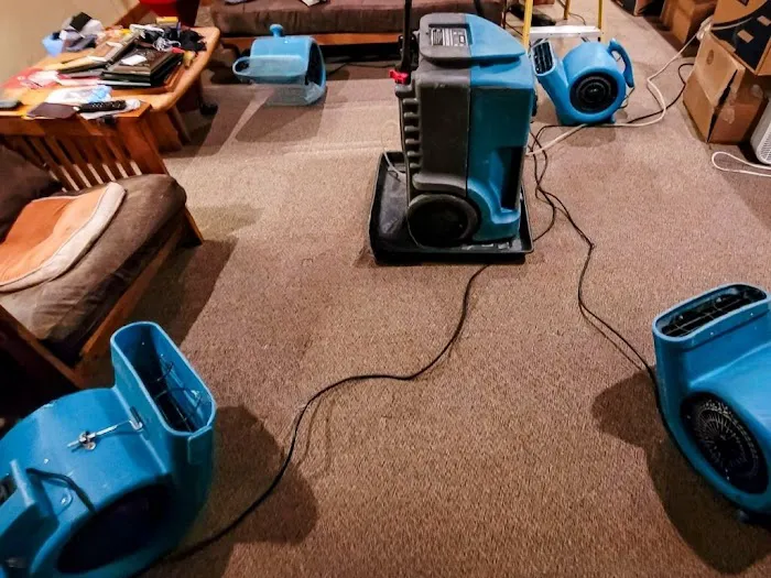 Peninsula Restoration Picture 8