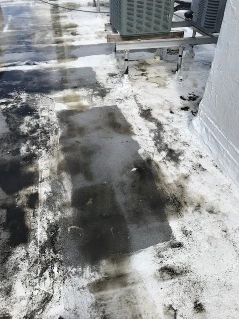 SERVPRO of Brickell Picture 10