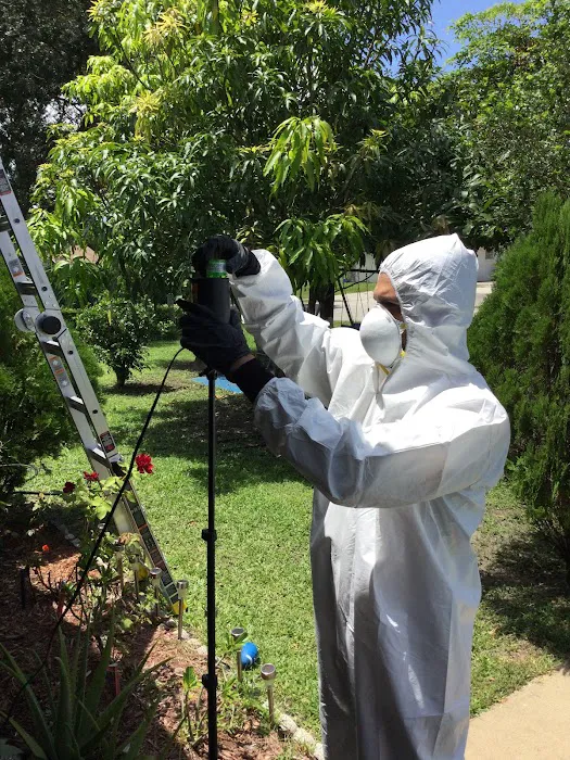 Summit Restoration Picture 9