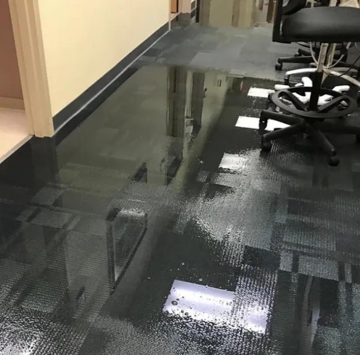 Villain's Sanitation & Restoration Pros Picture 9