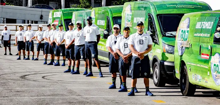 Miami Mold Specialist Picture 1