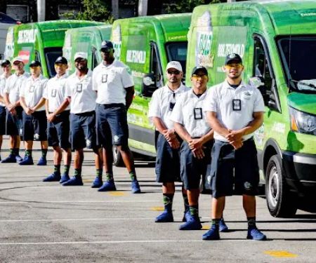 Miami Mold Specialist