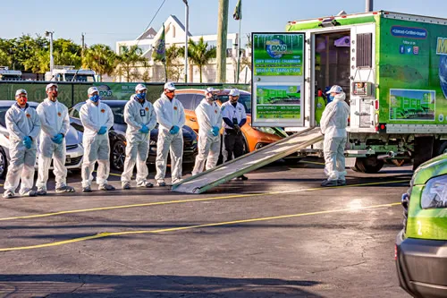 Miami Mold Specialist Picture 2