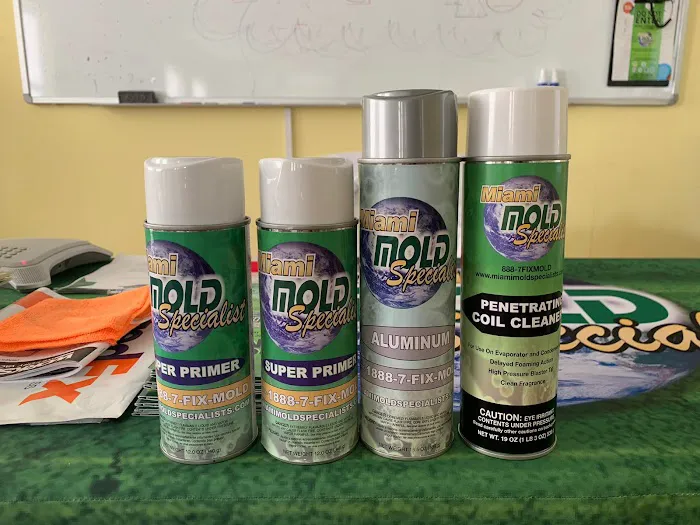 Miami Mold Specialist Picture 4