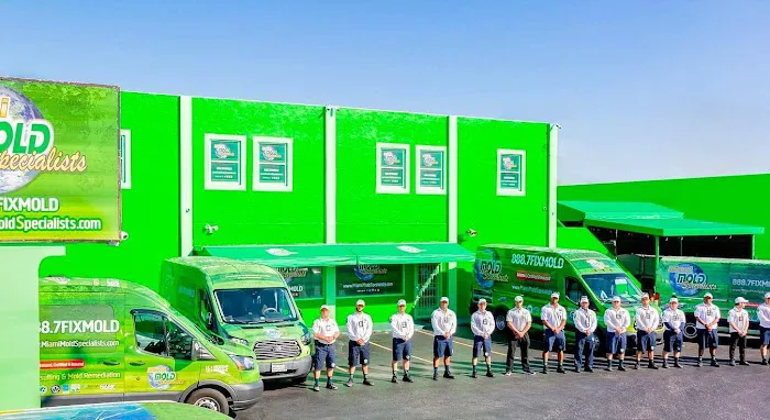 Miami Mold Specialist Picture 3