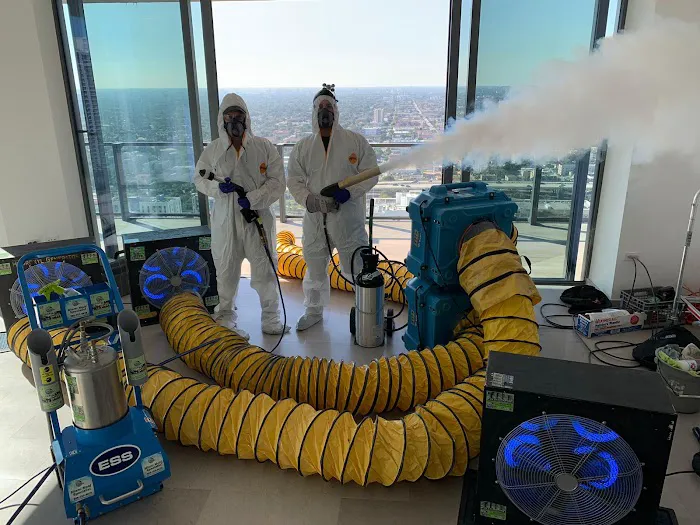 Miami Mold Specialist Picture 5