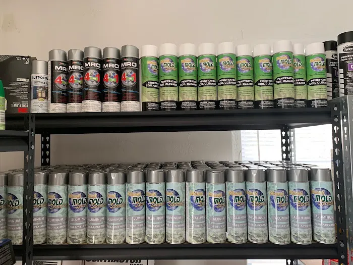 Miami Mold Specialist Picture 8