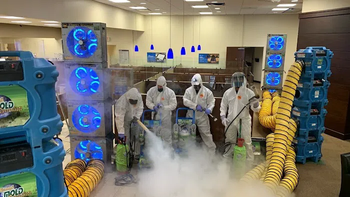 Miami Mold Specialist Picture 6