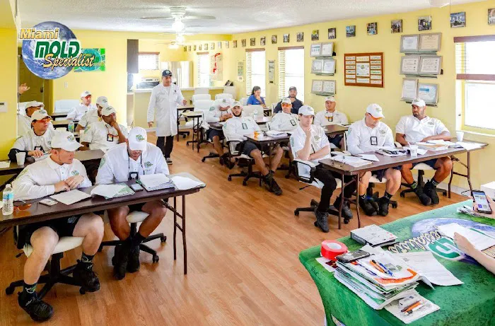 Miami Mold Specialist Picture 9