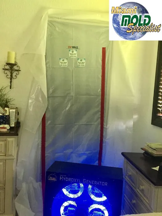 Miami Mold Specialist Picture 7