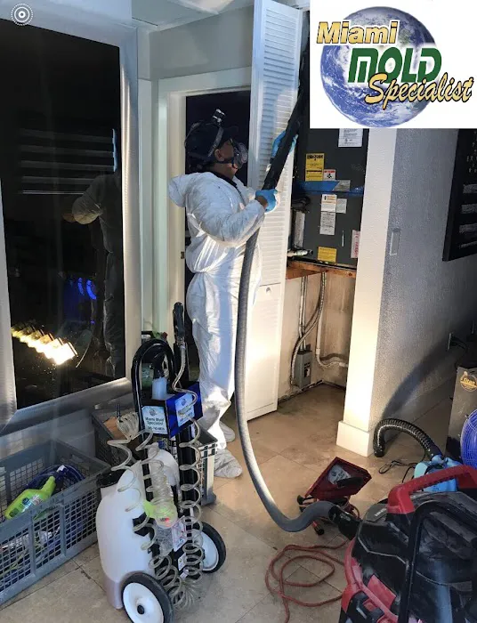 Miami Mold Specialist Picture 10