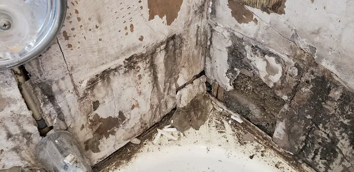 Deluge Doctors Restoration Picture 1