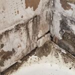 Deluge Doctors Restoration