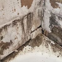 Deluge Doctors Restoration ico