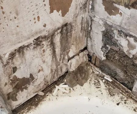 Deluge Doctors Restoration