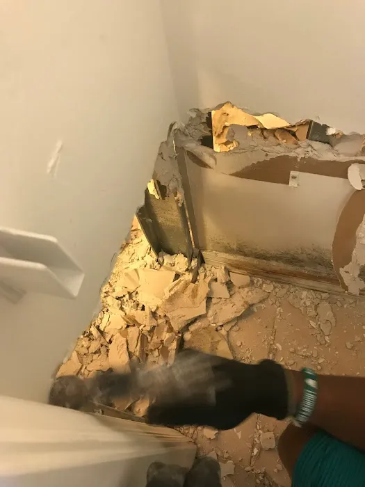 Deluge Doctors Restoration Picture 3