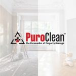 PuroClean of Downtown Miami