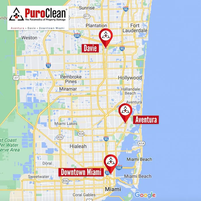 PuroClean of Downtown Miami Picture 2
