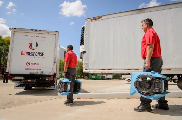 BioResponse Restoration Picture 1