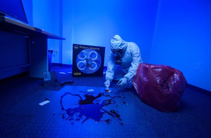 BioResponse Restoration Picture 4