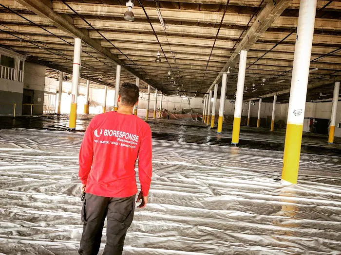 BioResponse Restoration Picture 8