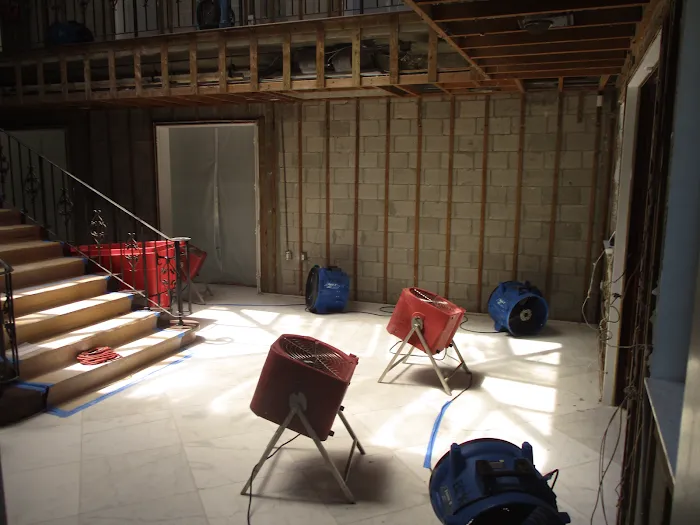 BioResponse Restoration Picture 9