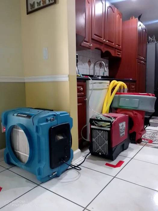 Well Done Mitigation & Restoration Picture 6