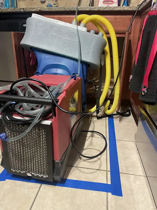 Well Done Mitigation & Restoration Picture 8