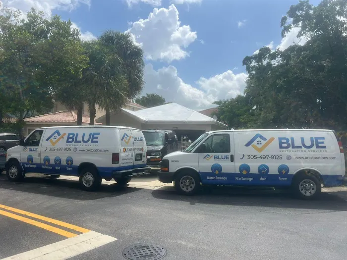 Blue Restoration Services Picture 2
