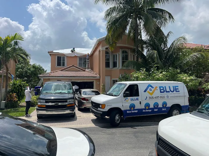 Blue Restoration Services Picture 1