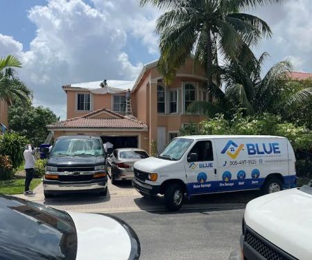 Blue Restoration Services