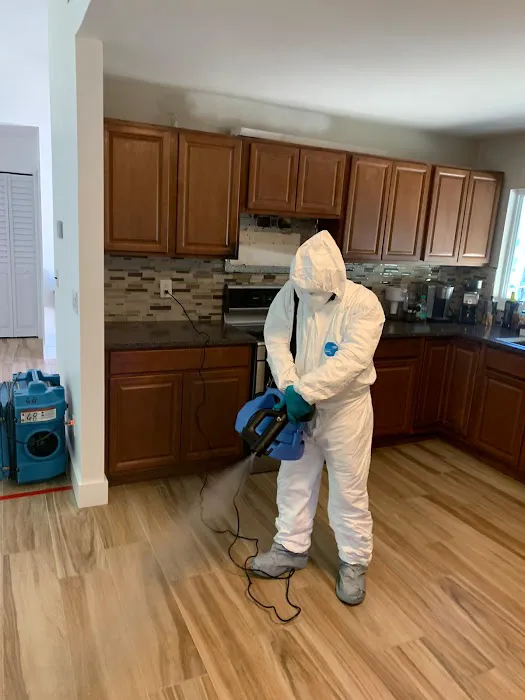 JD Restorations Picture 7