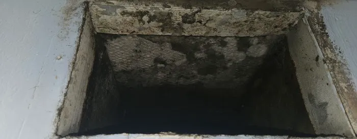 Total Restoration Miami LLC Picture 1