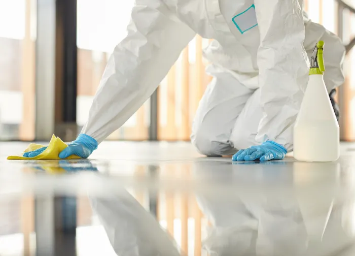 Miami Water Damage Restoration Services Inc Picture 1