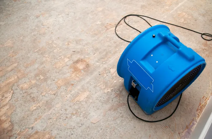 Miami Water Damage Restoration Services Inc Picture 6