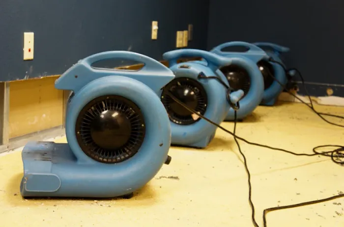 Miami Water Damage Restoration Services Inc Picture 7