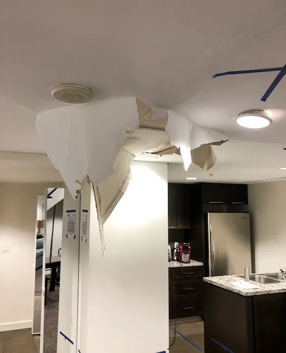 Coastal Oasis Water Damage Solutions Picture 3