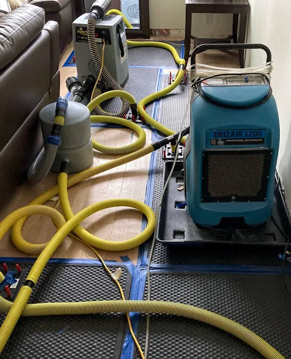 Coastal Oasis Water Damage Solutions Picture 4