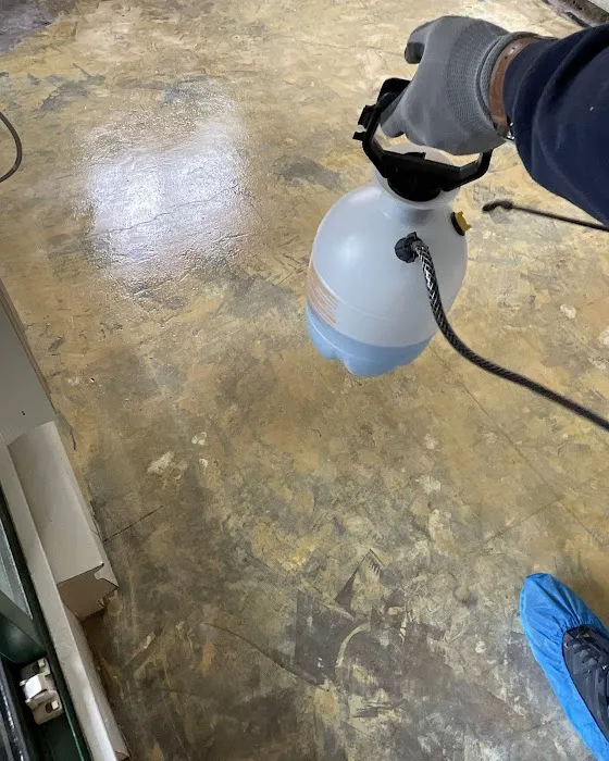 Coastal Oasis Water Damage Solutions Picture 9