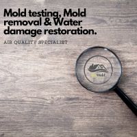 Dr Mold Testing, LLC ico