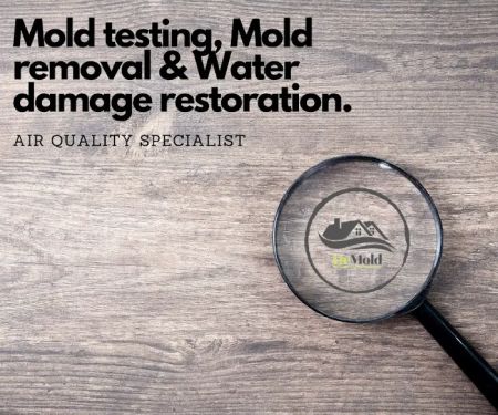Dr Mold Testing, LLC