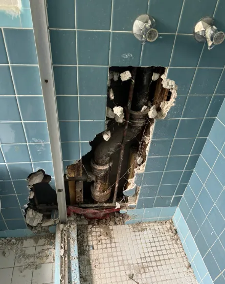 Keld Water and Mold Removal Picture 1