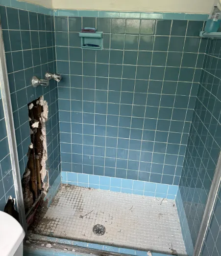 Keld Water and Mold Removal Picture 5