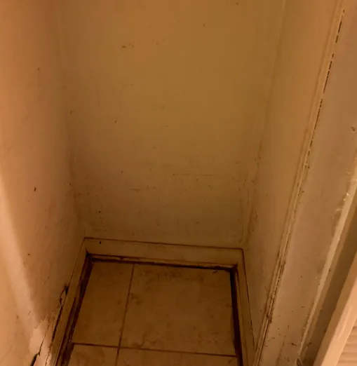 Keld Water and Mold Removal Picture 9